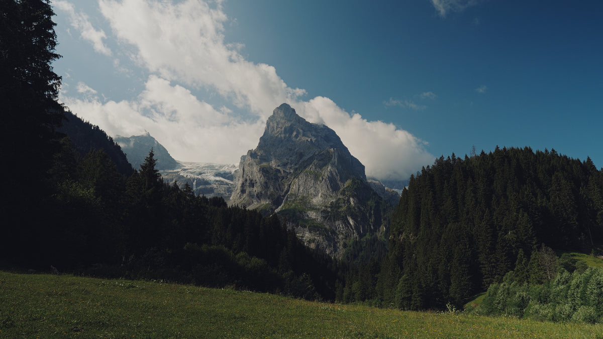 Swiss Alps