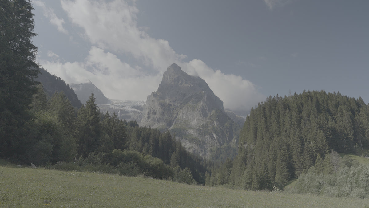 Swiss Alps